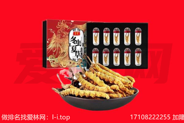 上海松江区回收虫草.jpg